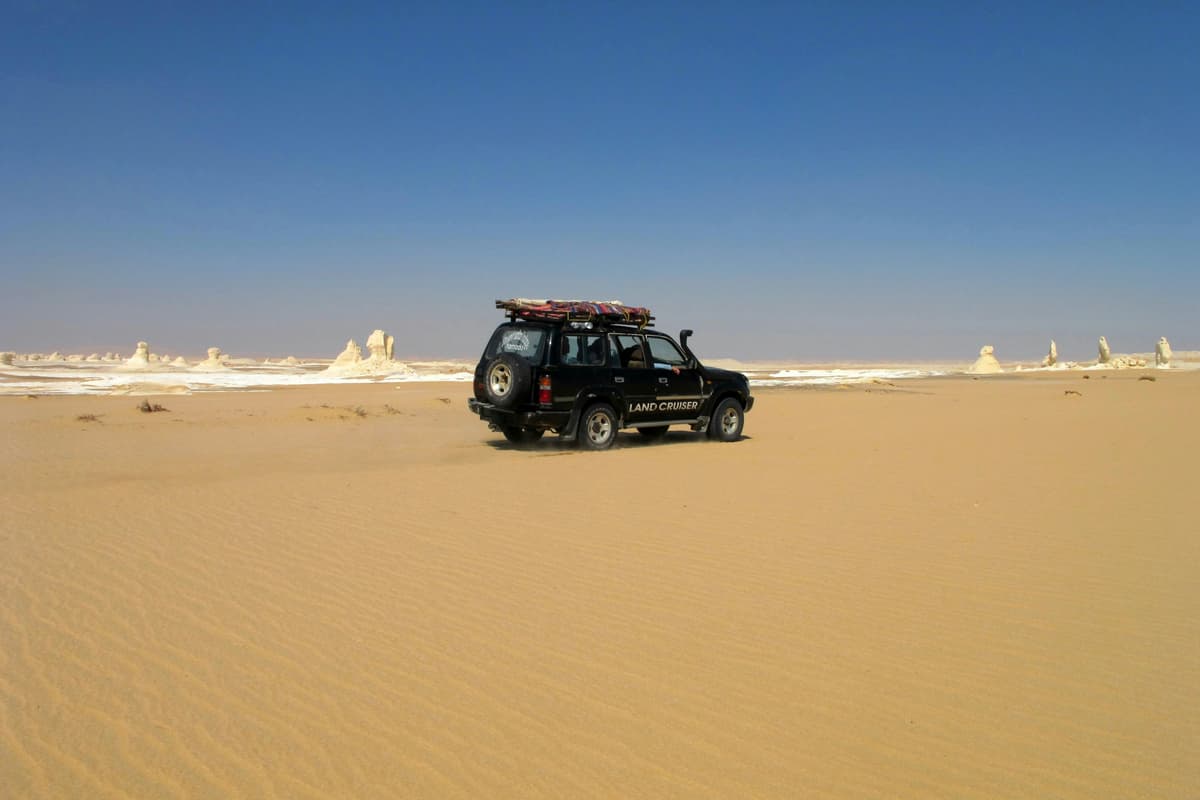 desert safari